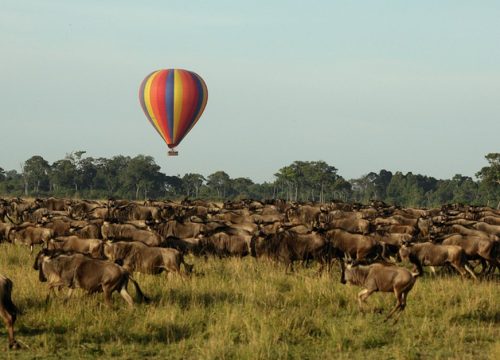 3 DAYS 2 NIGHTS PRIVATE SAFARI TO MAASAI MARA