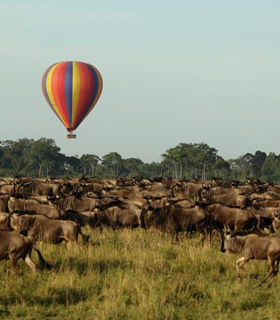 3 DAYS 2 NIGHTS PRIVATE SAFARI TO MAASAI MARA