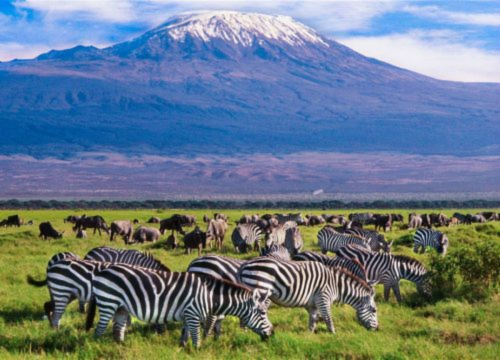 3 DAYS 2 NIGHTS PRIVATE SAFARI TO MAASAI MARA