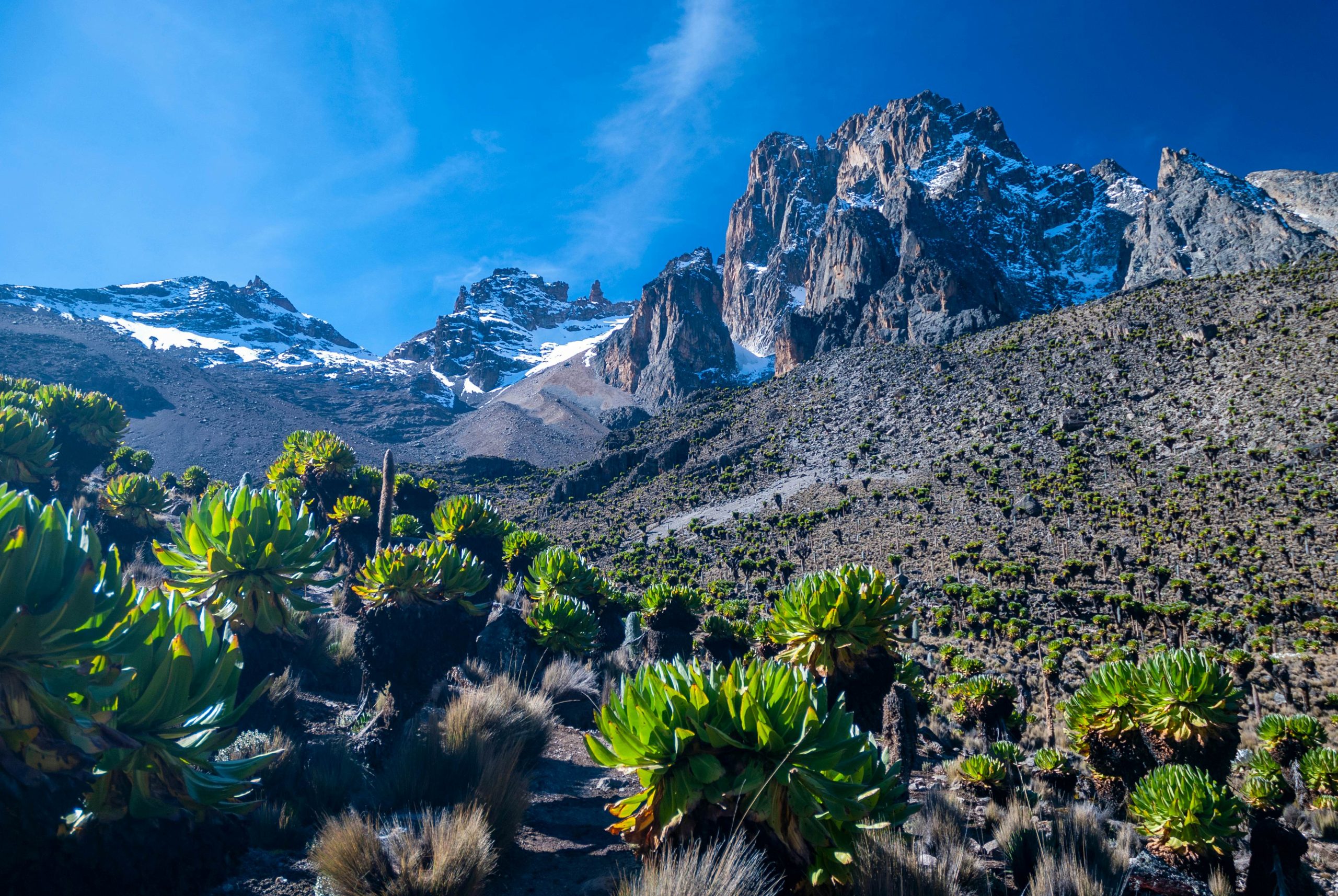 Mount Kenya